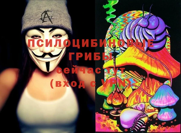 МДПВ Алзамай