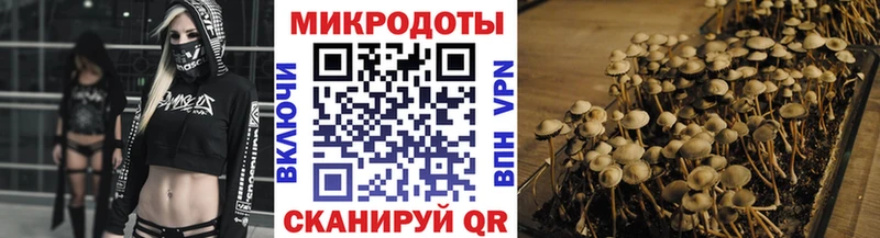 Псилоцибиновые грибы Cubensis гидра ССЫЛКА Бирюч даркнет сайт